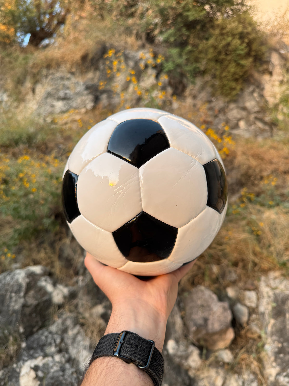 Balón Telstar México 1970