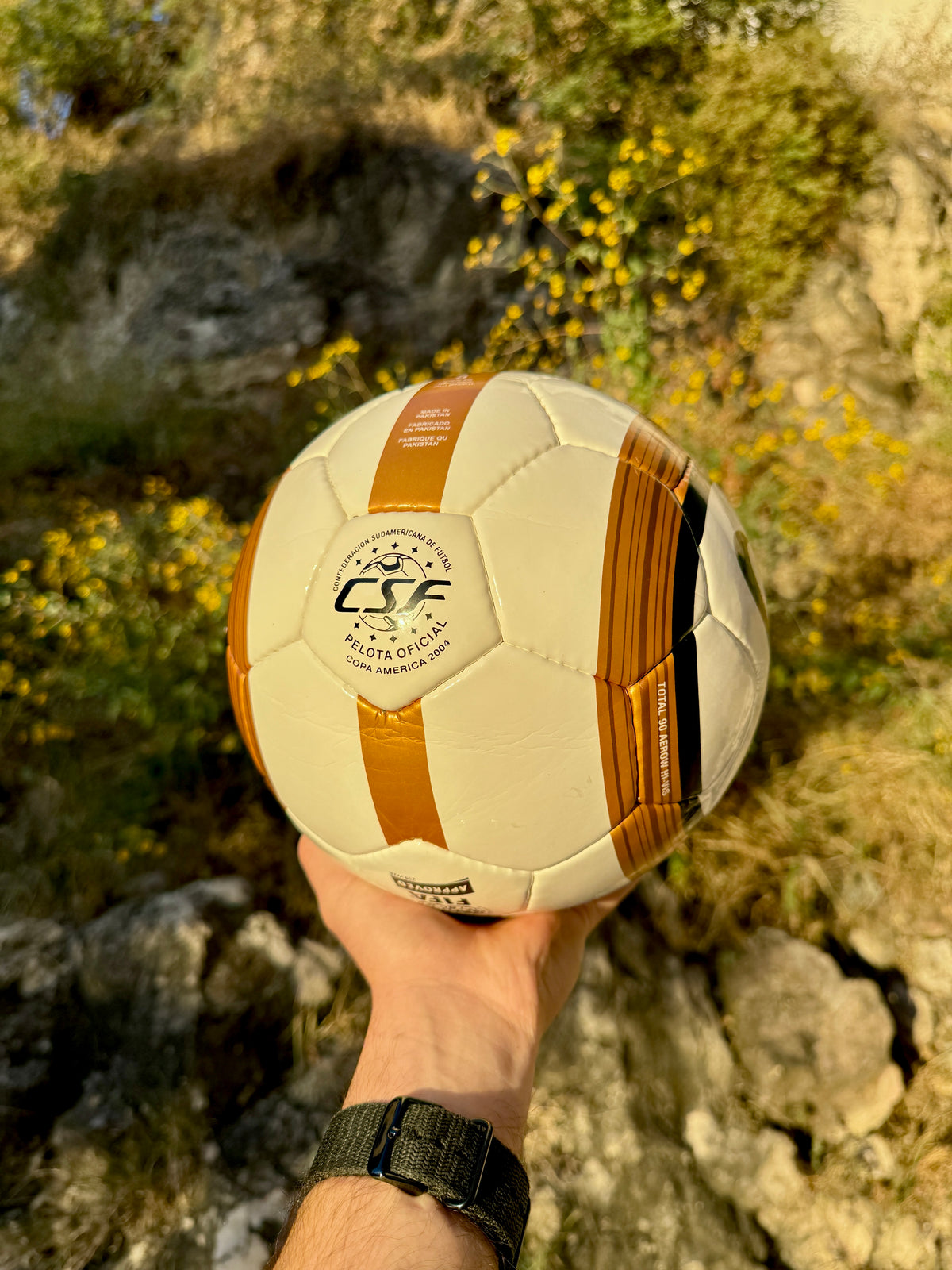 Balón Total 90 Dorado (Copa América)
