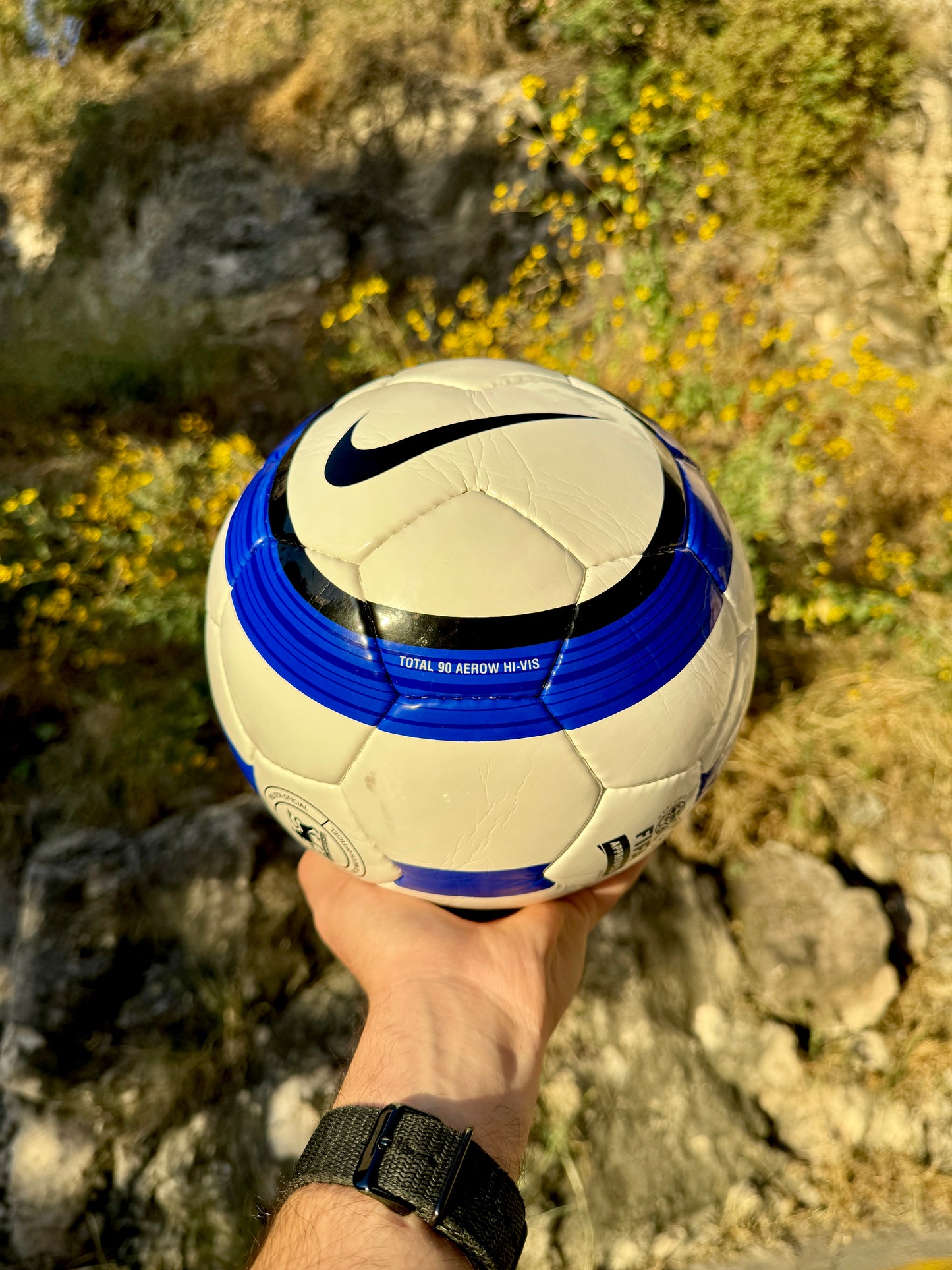 Balón Total 90 Azul (Premier League)