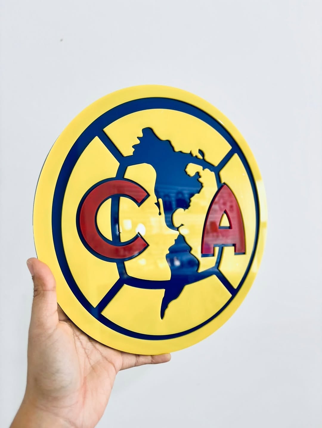Escudo En Acrílico (25cm)