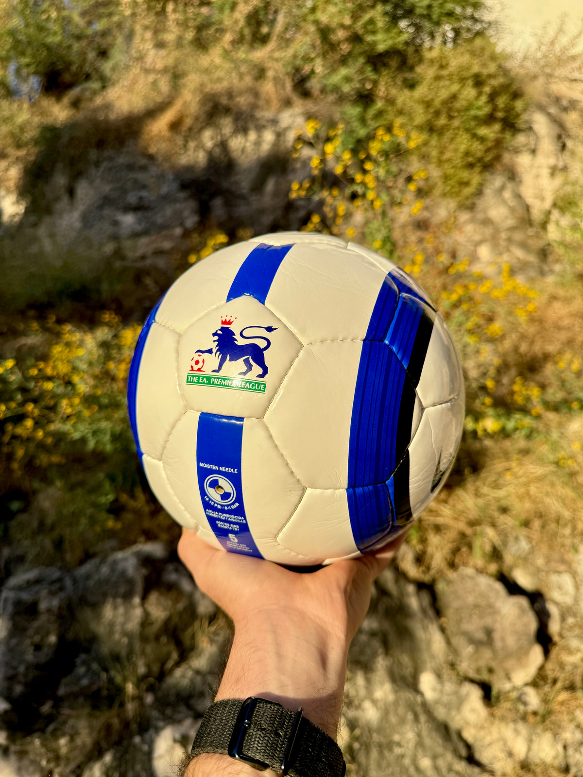 Balón Total 90 Azul (Premier League)