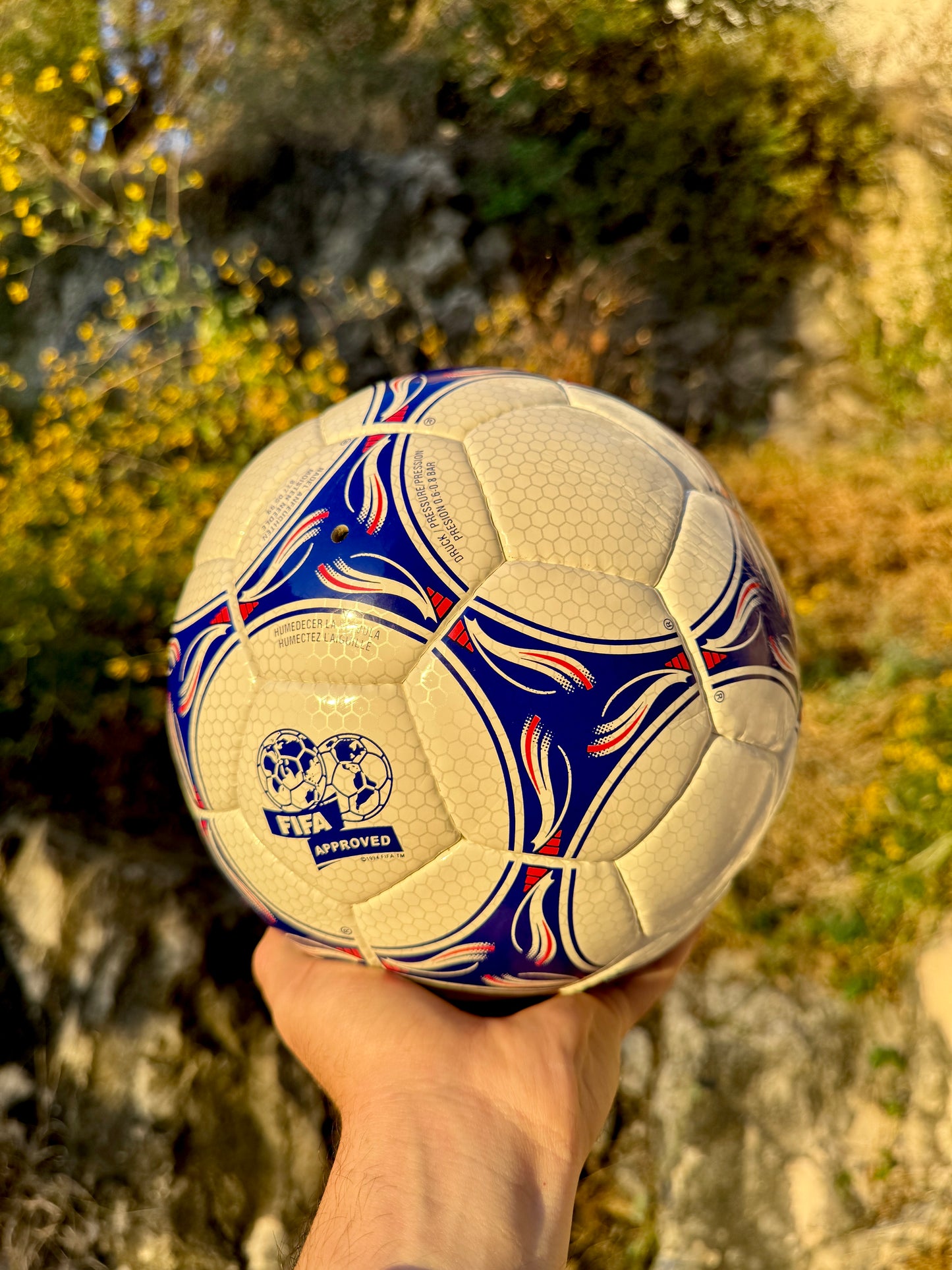Balón Tricolore Francia 1998