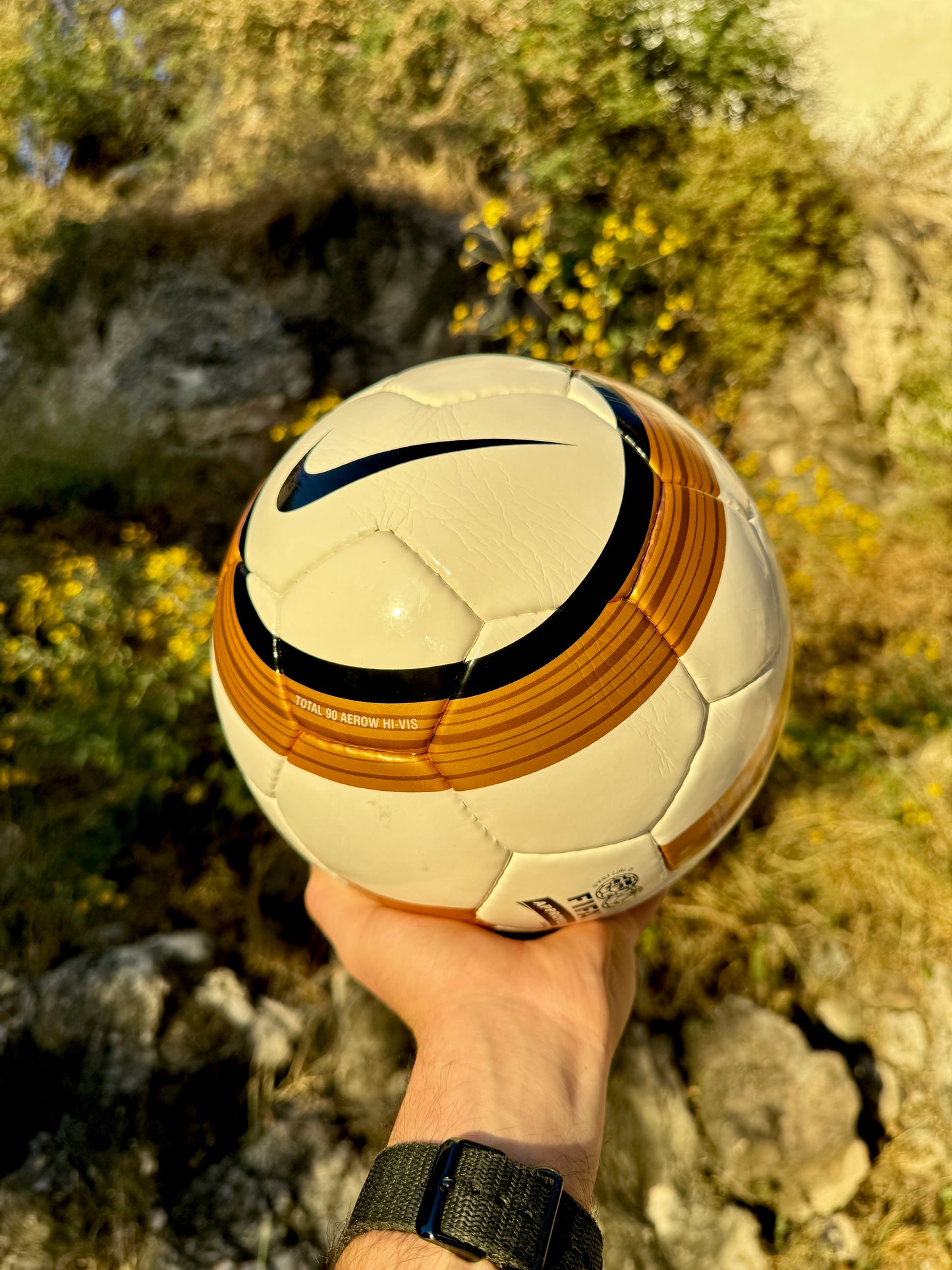 Balón Total 90 Dorado (Copa América)