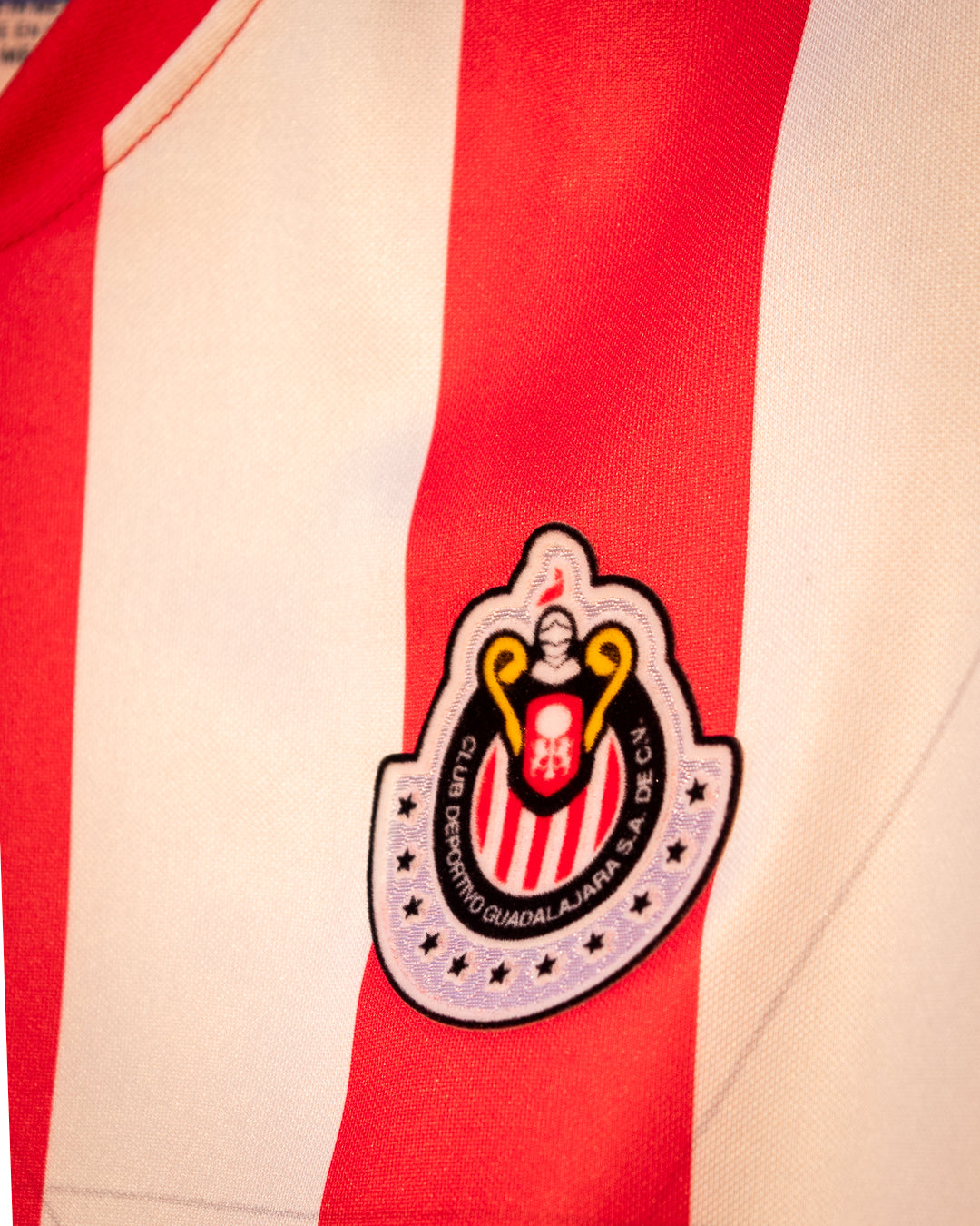Chivas 2010 Estadio