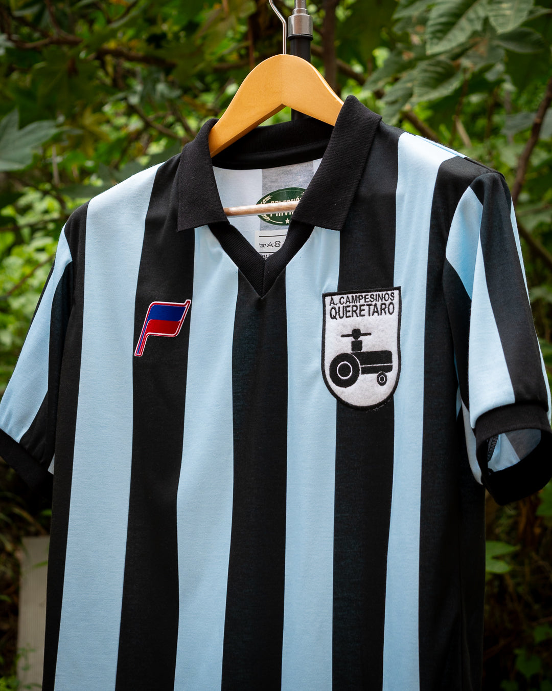 Queretaro Campesionos 1981 Local