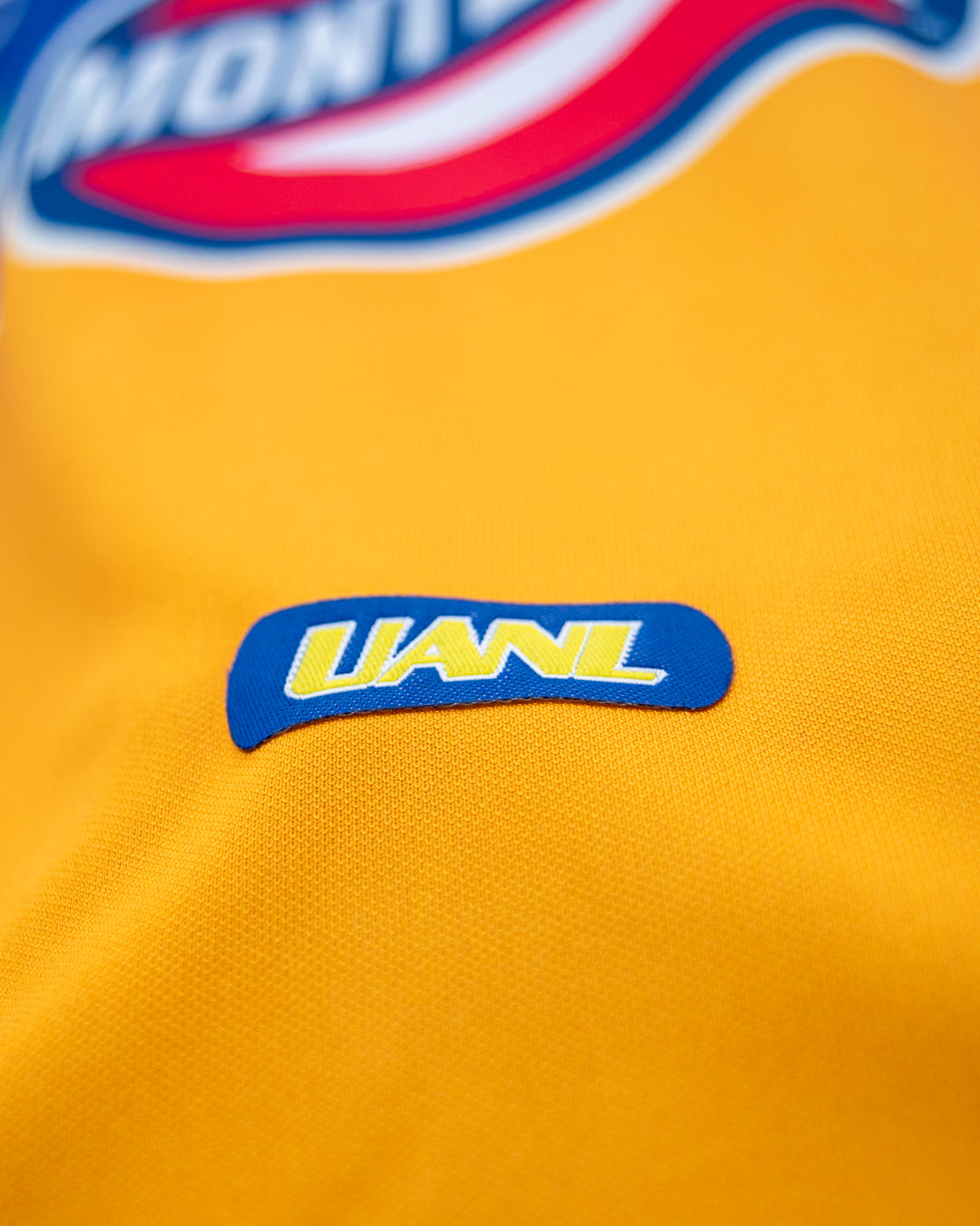 Tigres 2000 Local