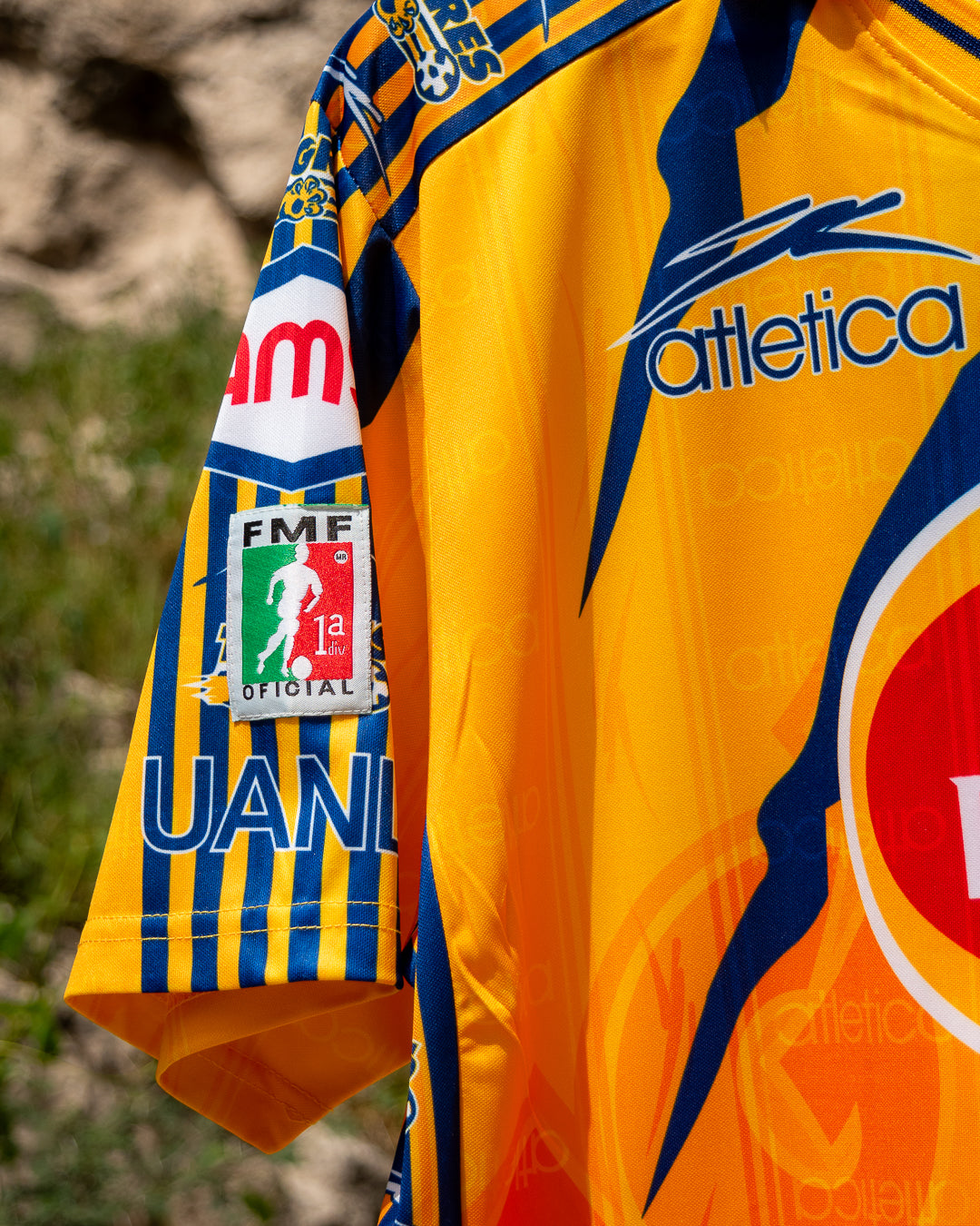 Tigres 1998 Local