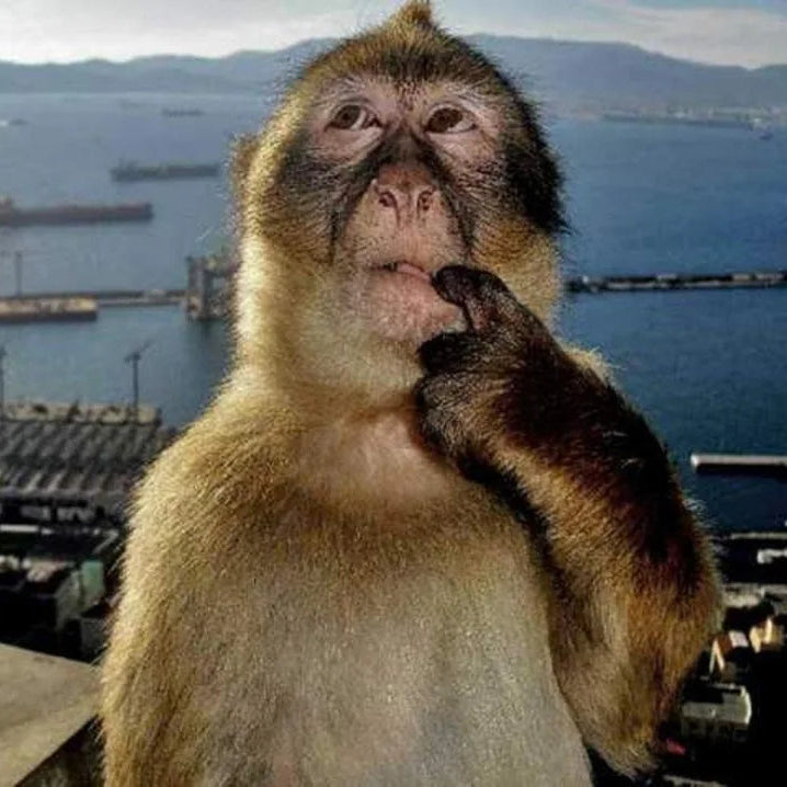 🎁 Regalito sorpresa