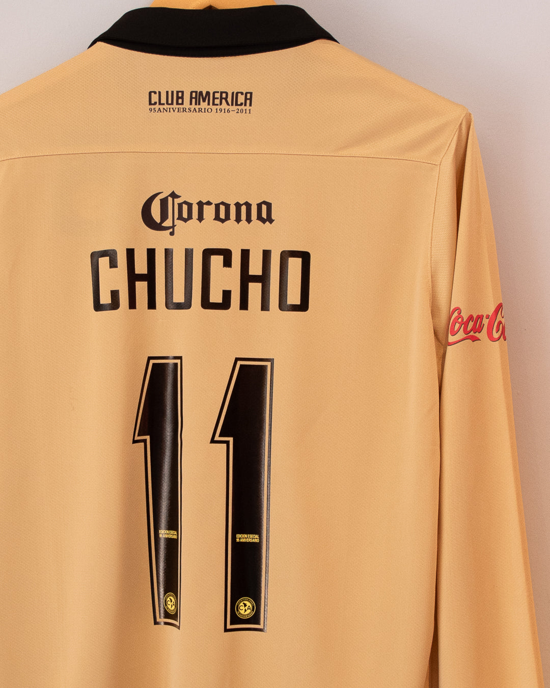 América 2011 95 AÑOS