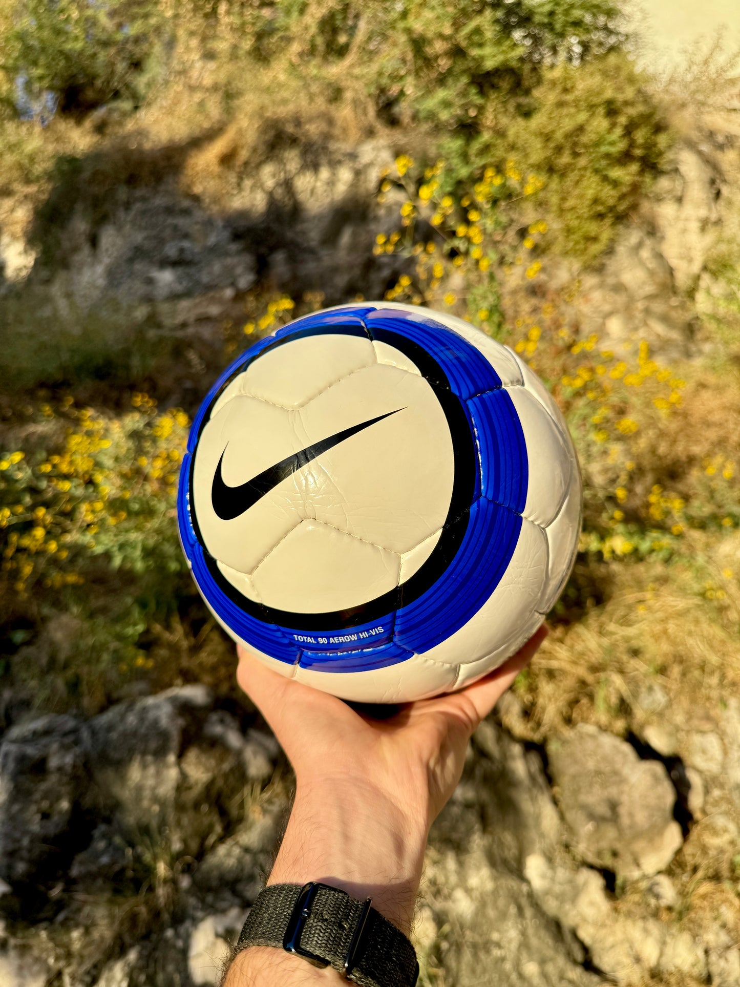 Balón Total 90 Azul (Premier League)