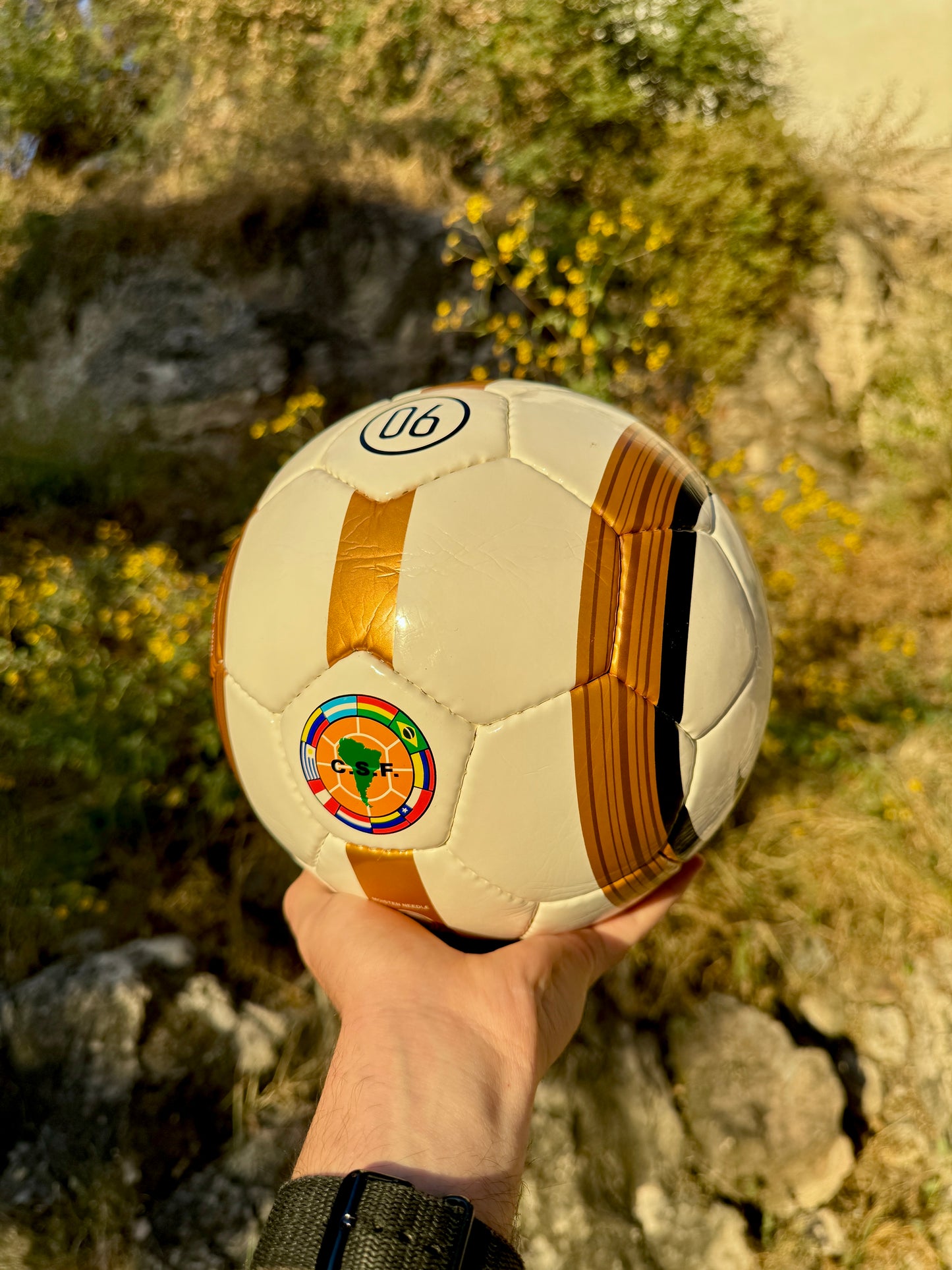 Balón Total 90 Dorado (Copa América)