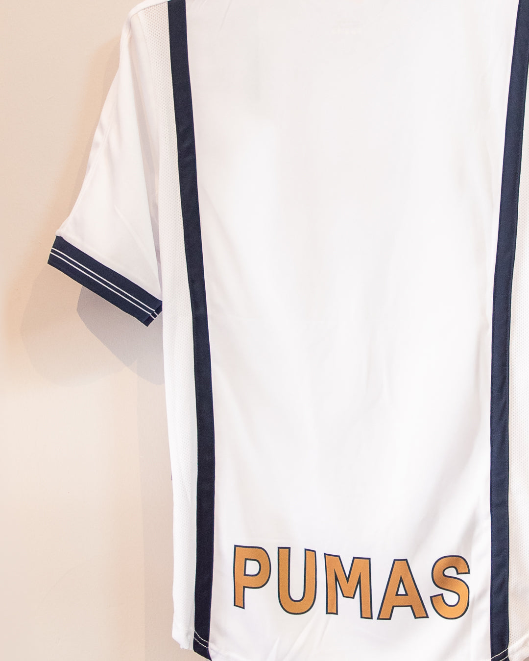 Pumas 1999 Visita