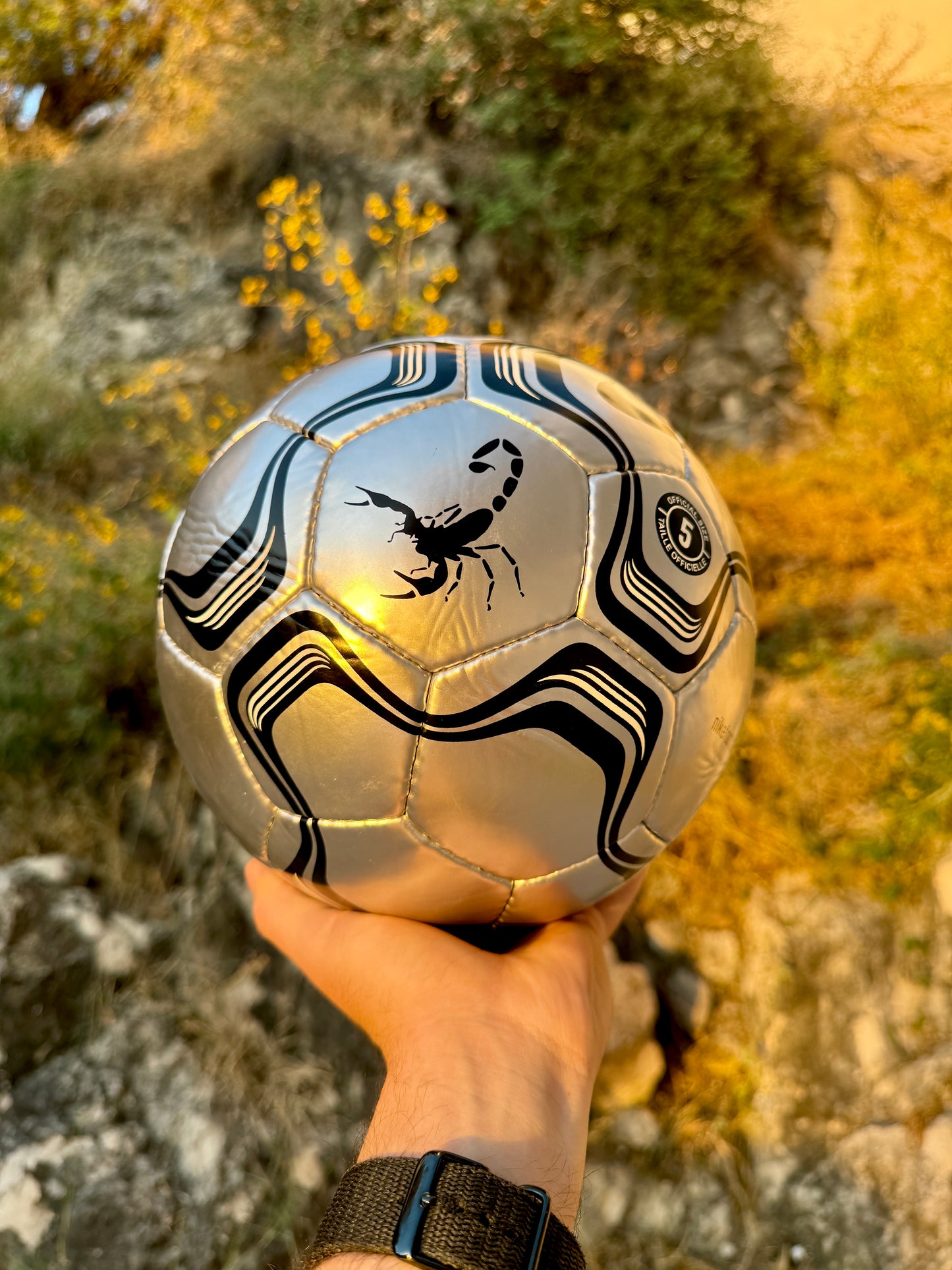 Balón Scorpion Chrome