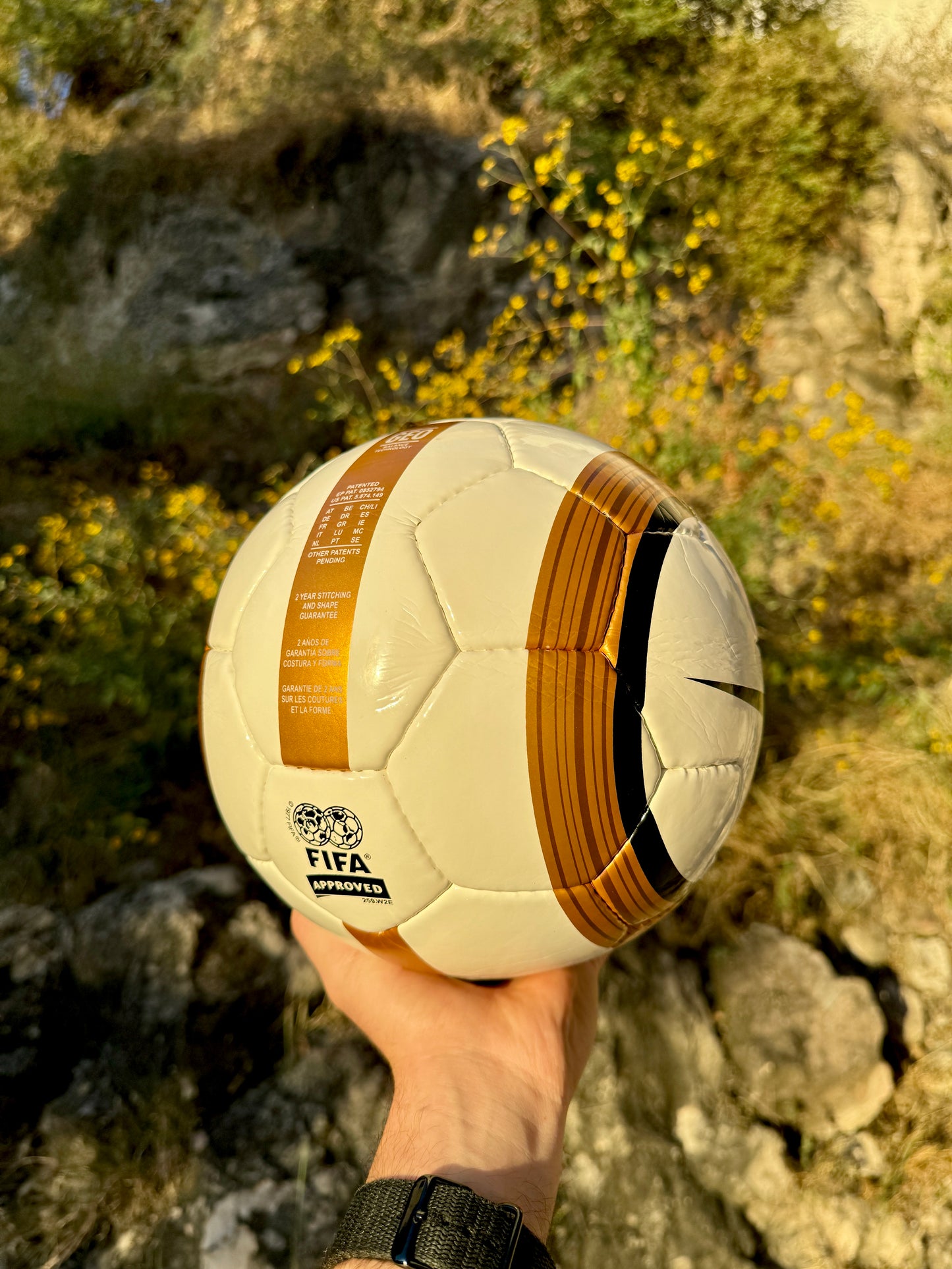 Balón Total 90 Dorado (Copa América)