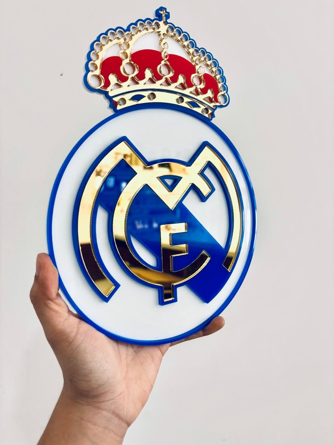 Escudo En Acrílico (25cm)