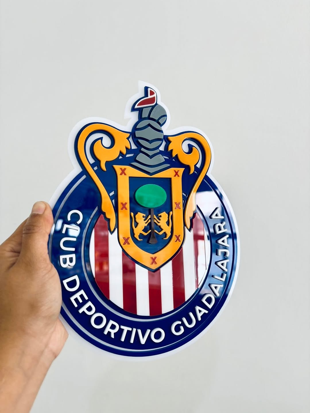 Escudo En Acrílico (25cm)