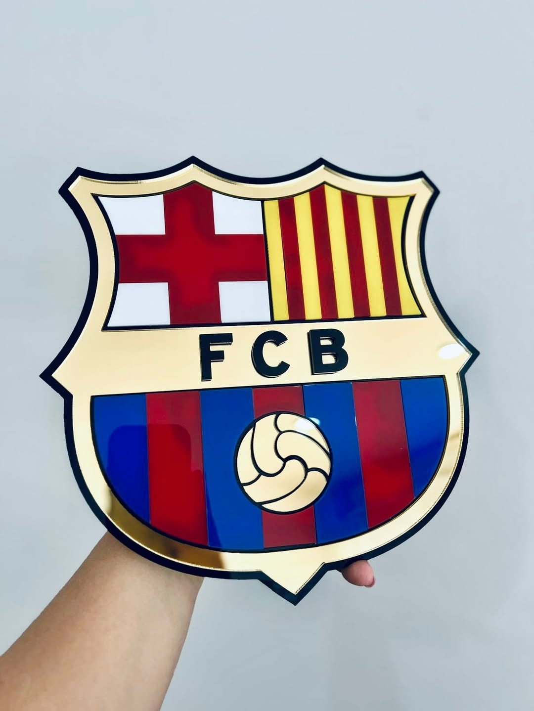 Escudo En Acrílico (25cm)