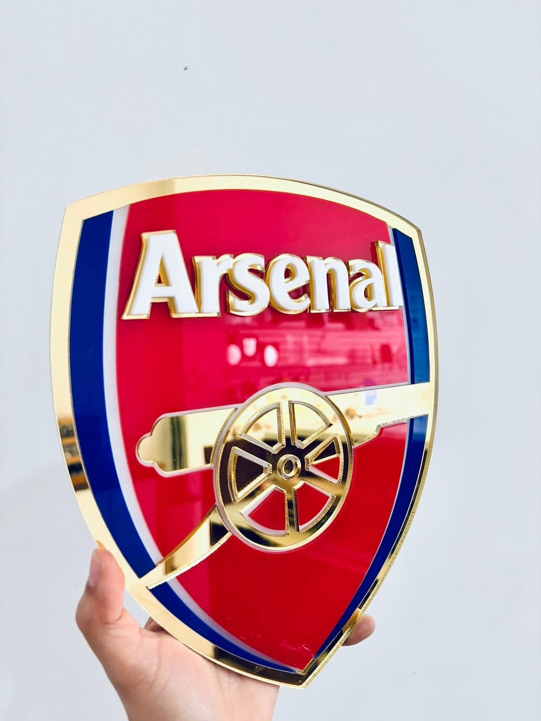 Escudo En Acrílico (25cm)