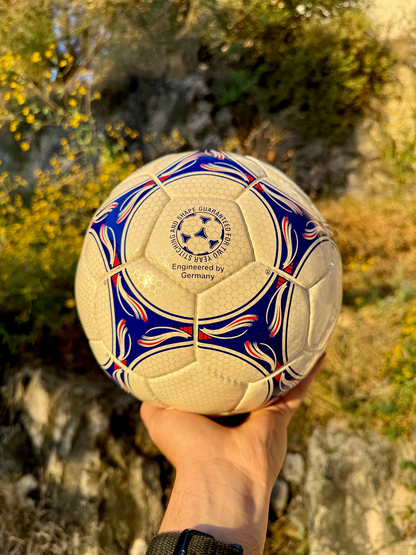 Balón Tricolore Francia 1998