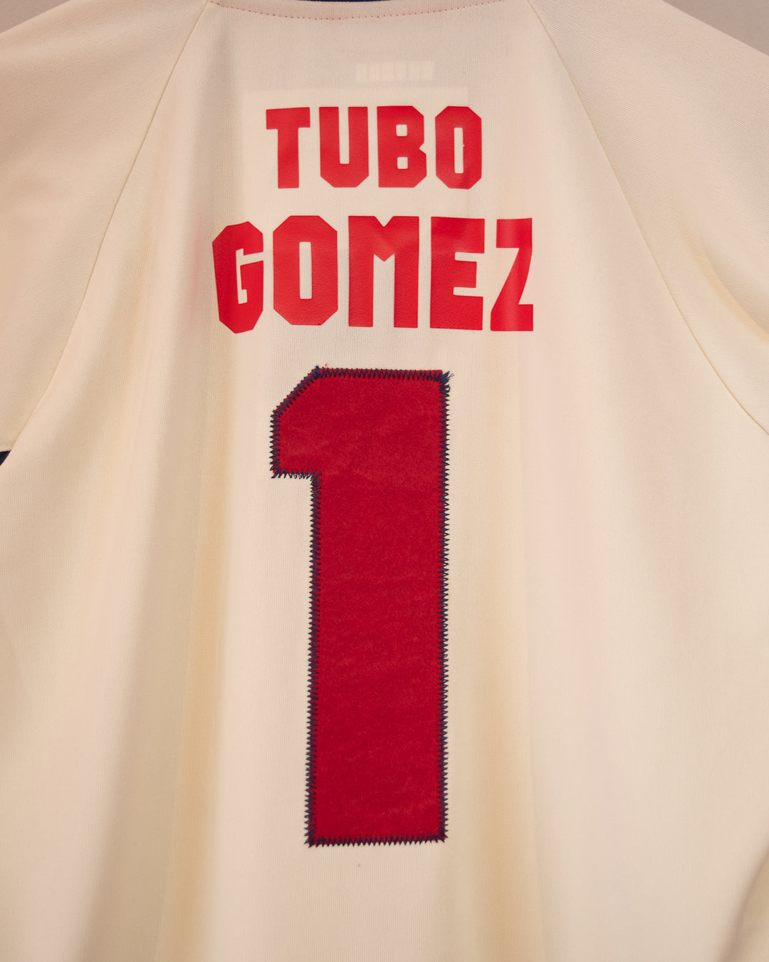 Chivas 2008 Tubo Gómez - Colección Privada -