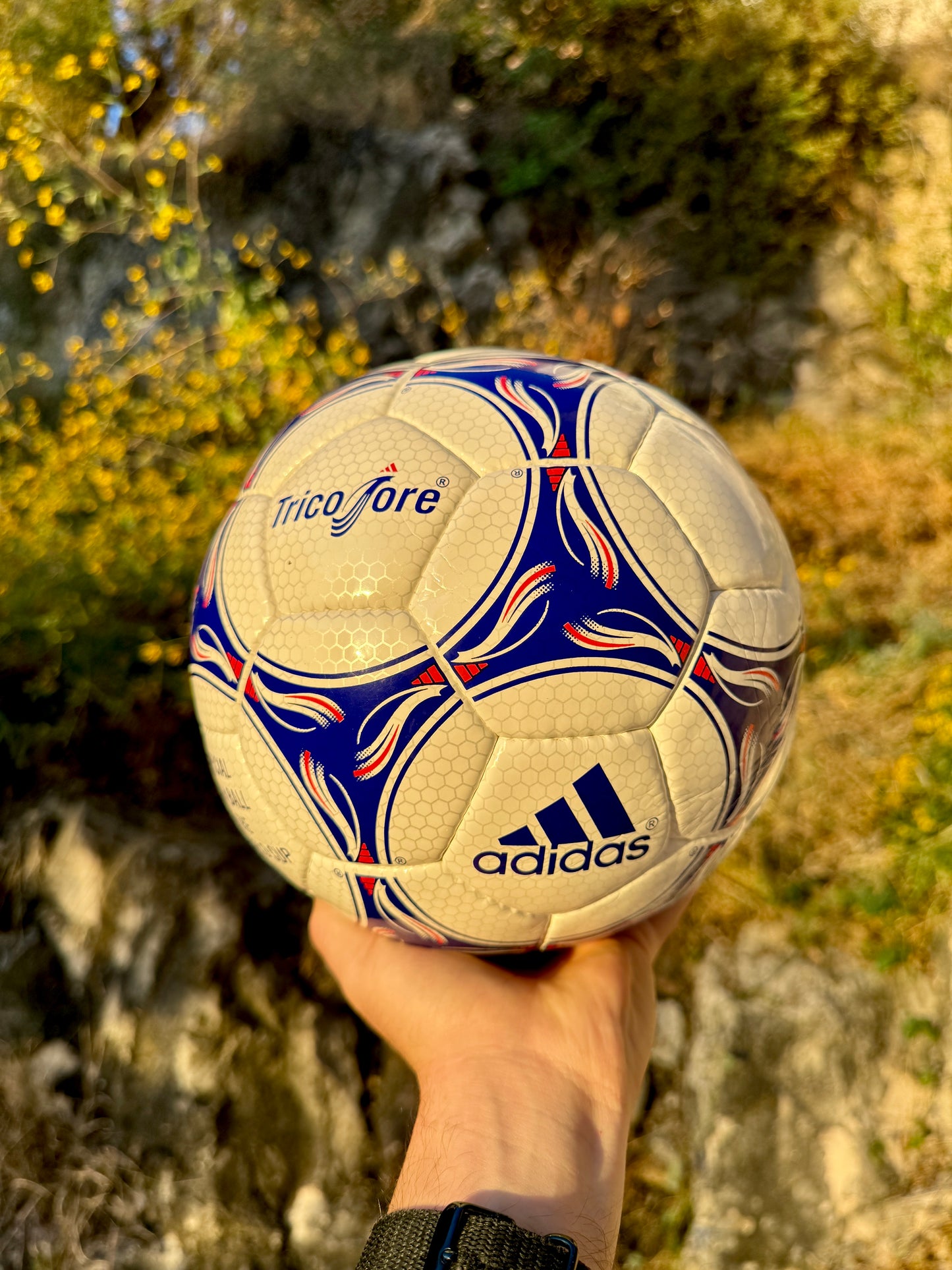 Balón Tricolore Francia 1998