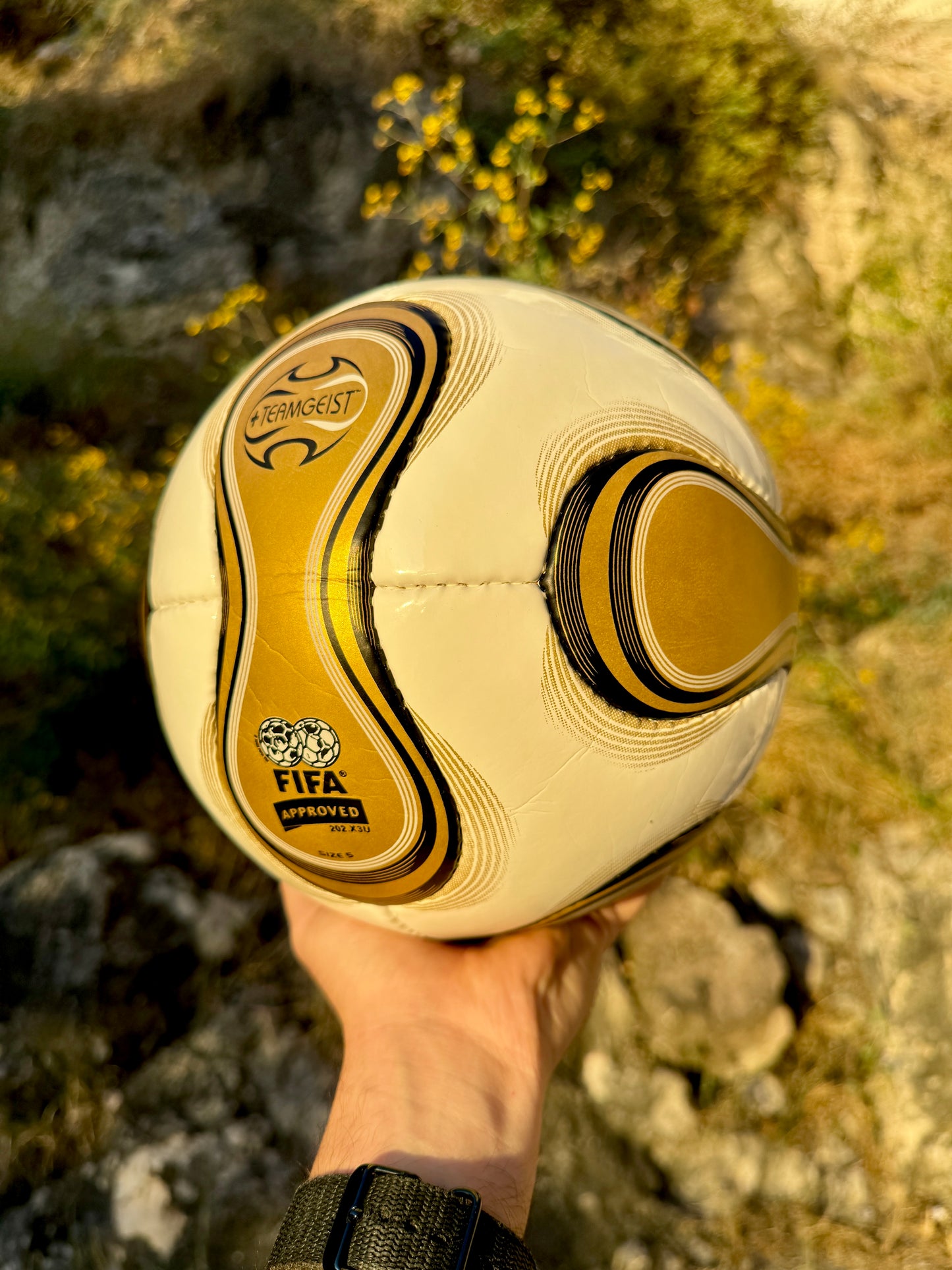 Balón TeamGeist Alemania 2006 Final