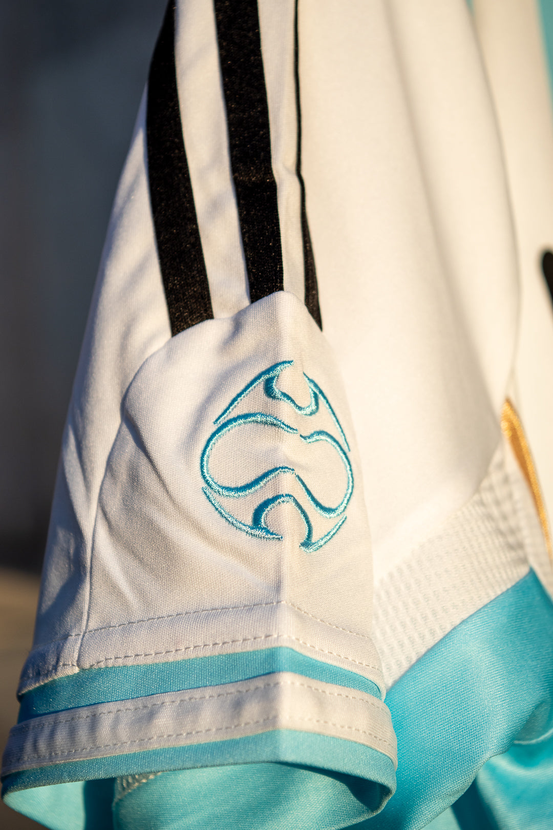 Argentina 2006 Local