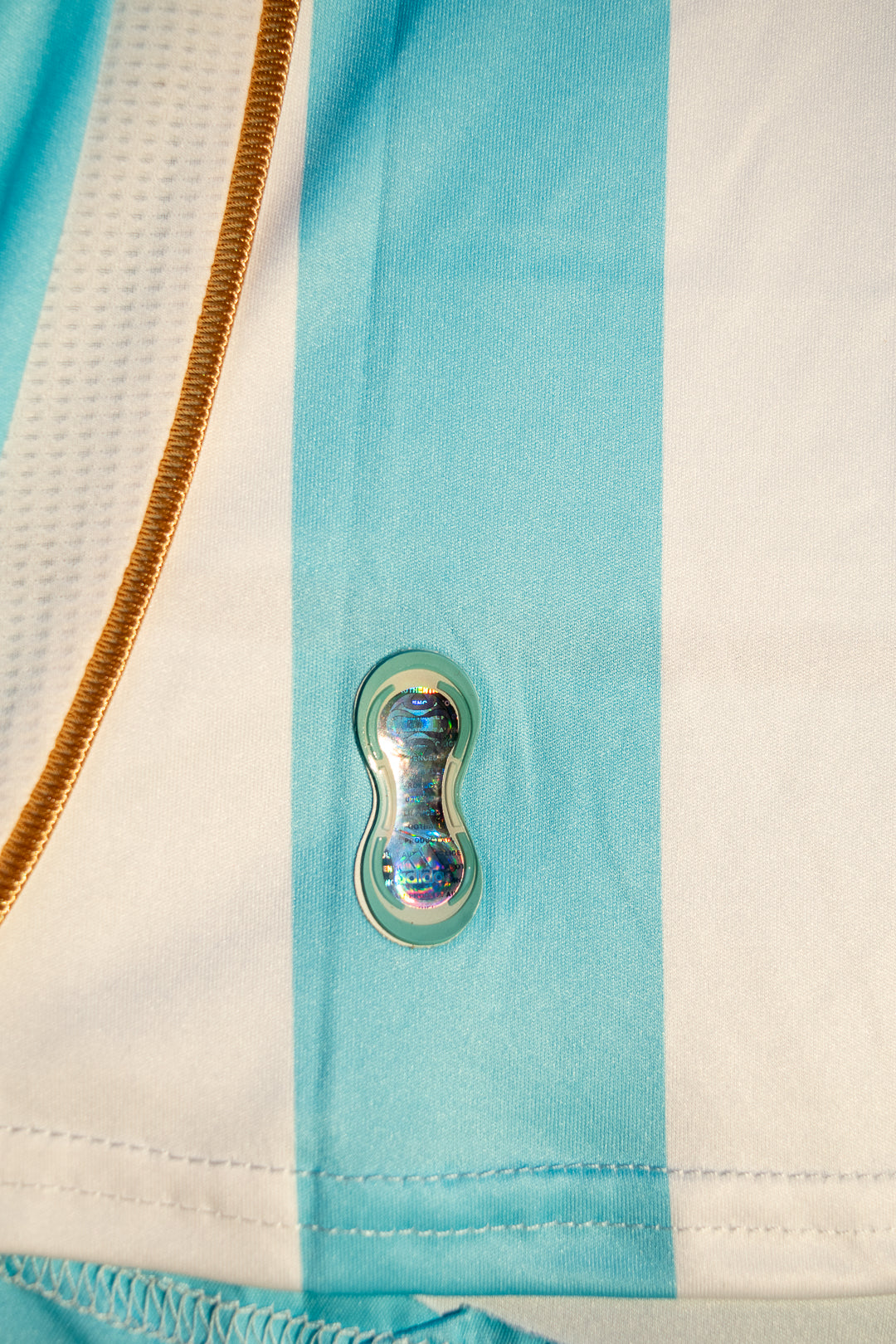 Argentina 2006 Local