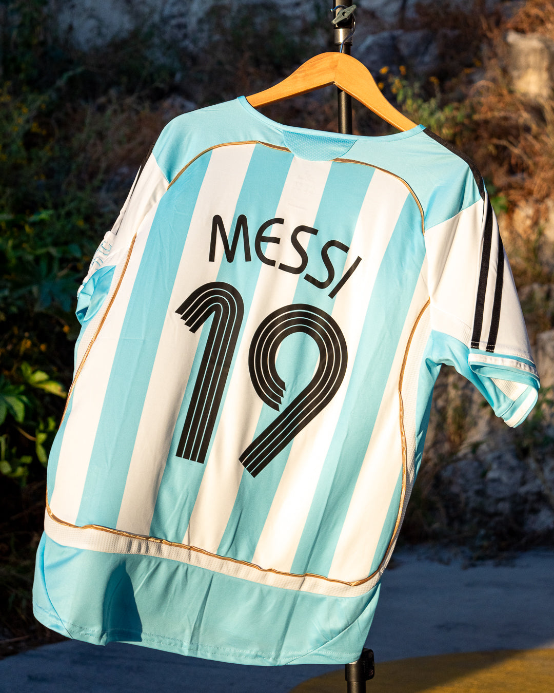 Argentina 2006 Local