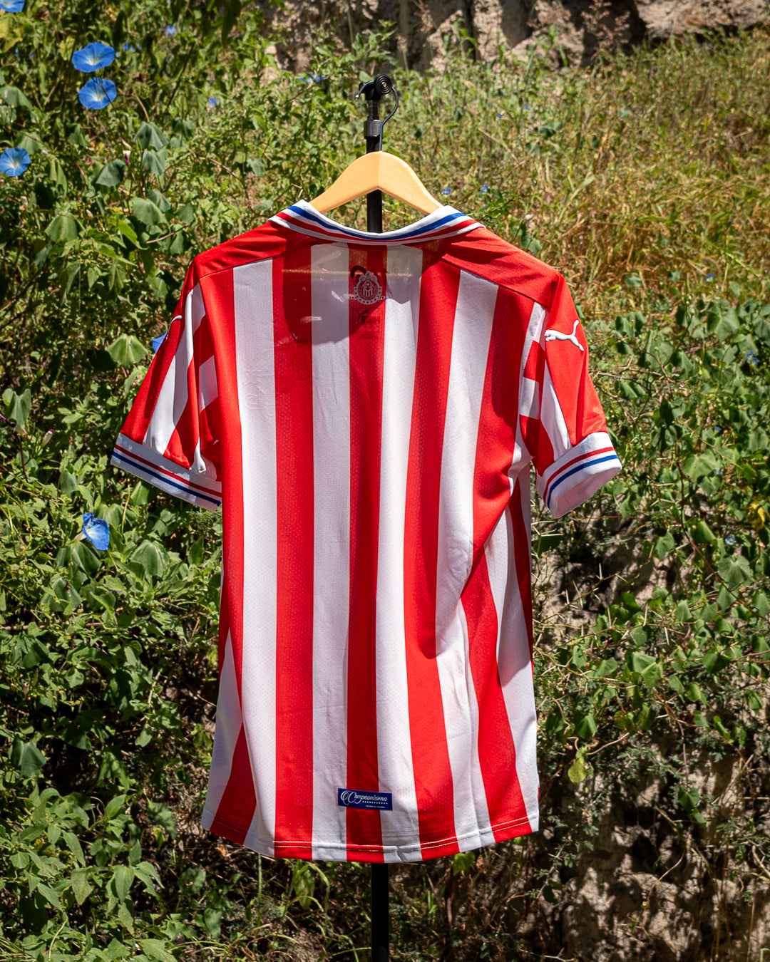 Chivas 2016 Local 110 años