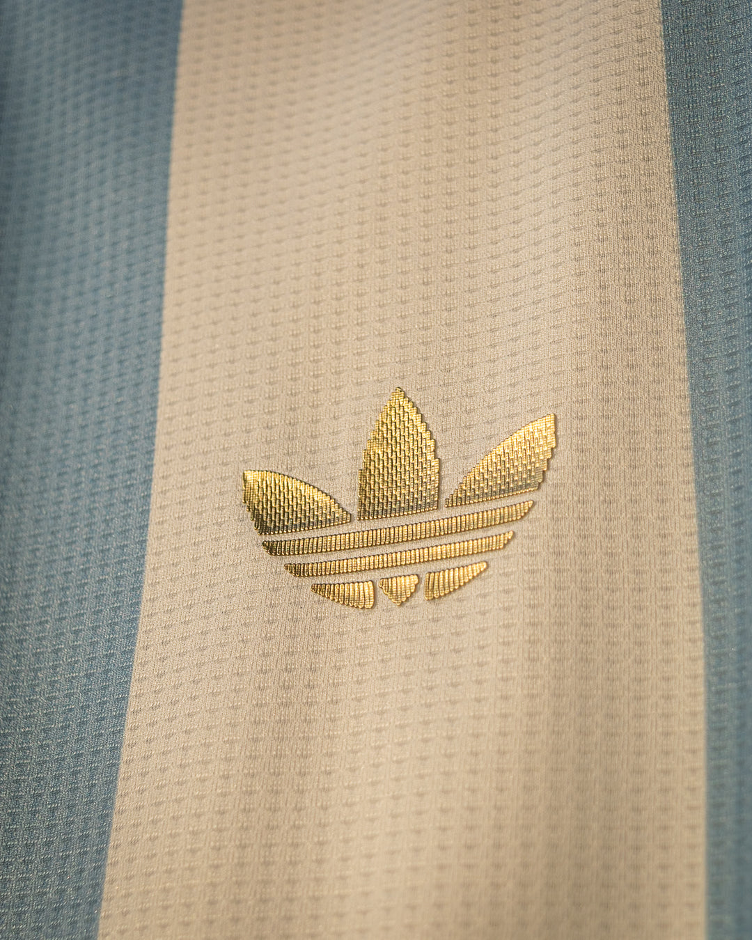 Argentina 2024 Local 50 años