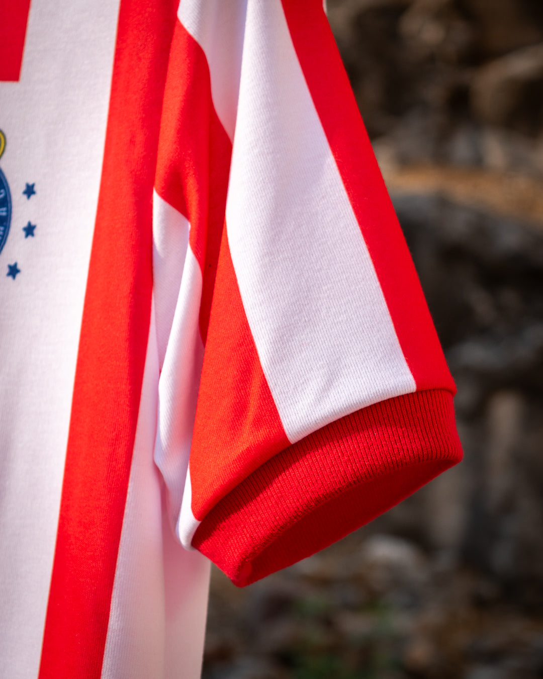 Chivas 1991 Local Colección Privada - Lotería Nacional -