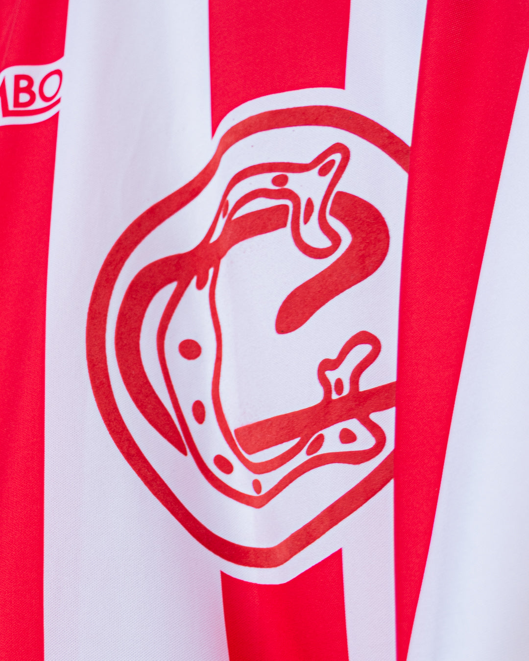 Chivas 2006 Centenario