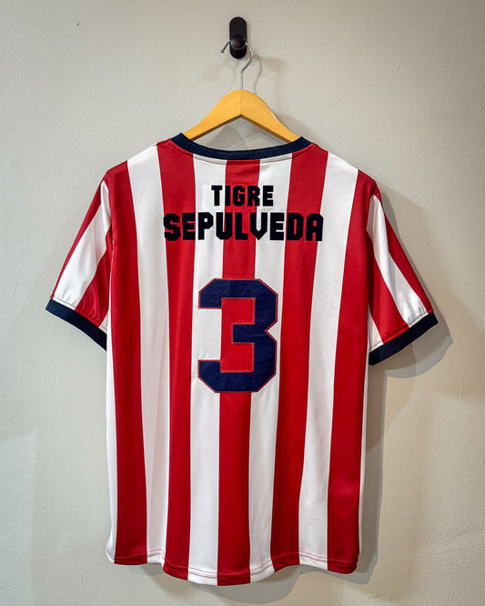 Chivas 2008 Tigre Sepúlveda - Colección Privada -