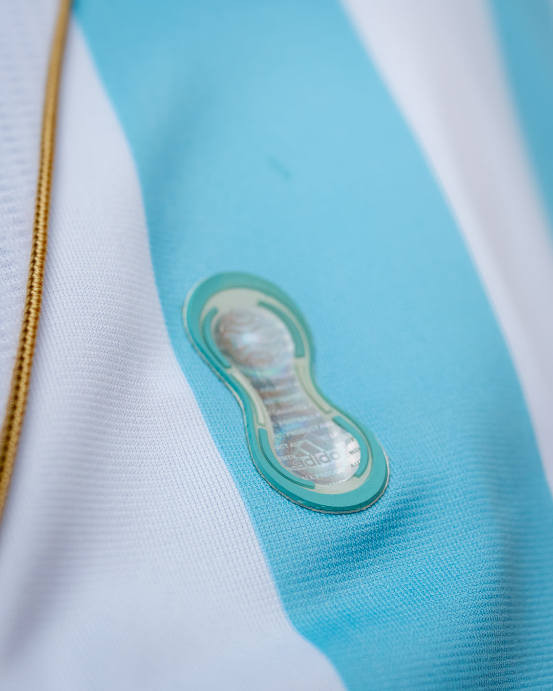 Argentina 2006 Local