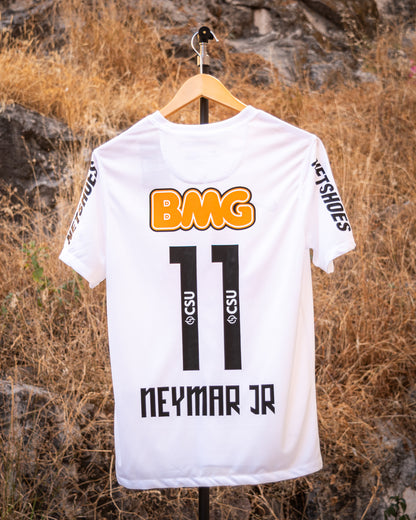 Santos Brasil 2013 Local