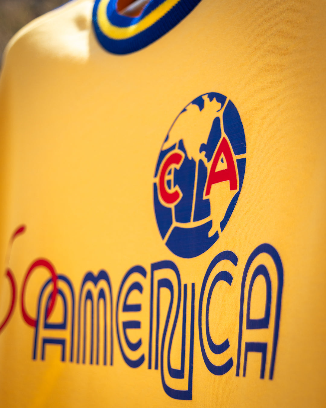 América 60 Aniversario Colección Privada